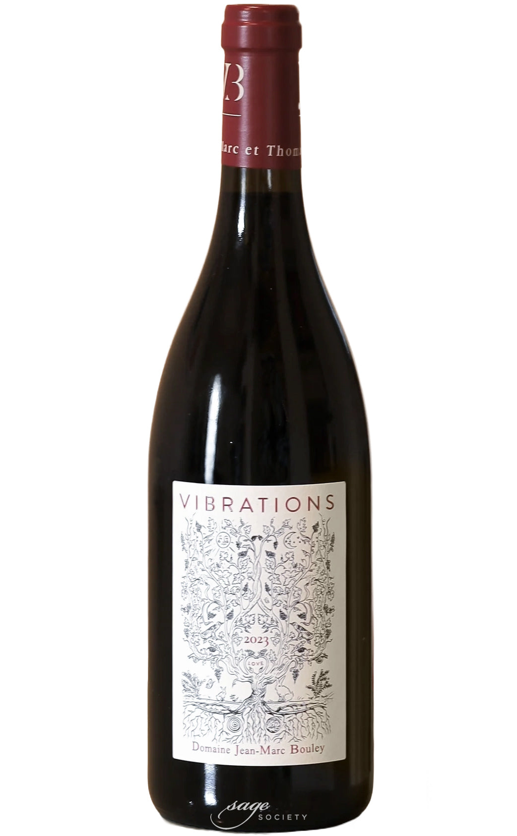 2023 Domaine Jean-Marc / Thomas Bouley Bourgogne Hautes-Côtes de Beaune Vibrations