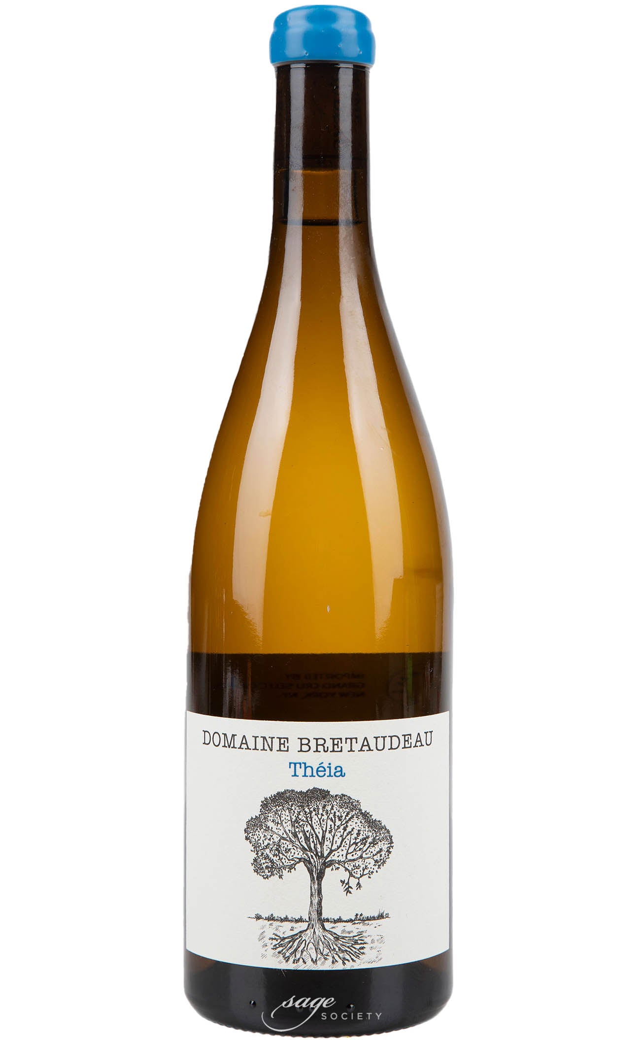 2024 Domaine de Bellevue (Jérôme Bretaudeau) Muscadet Theia