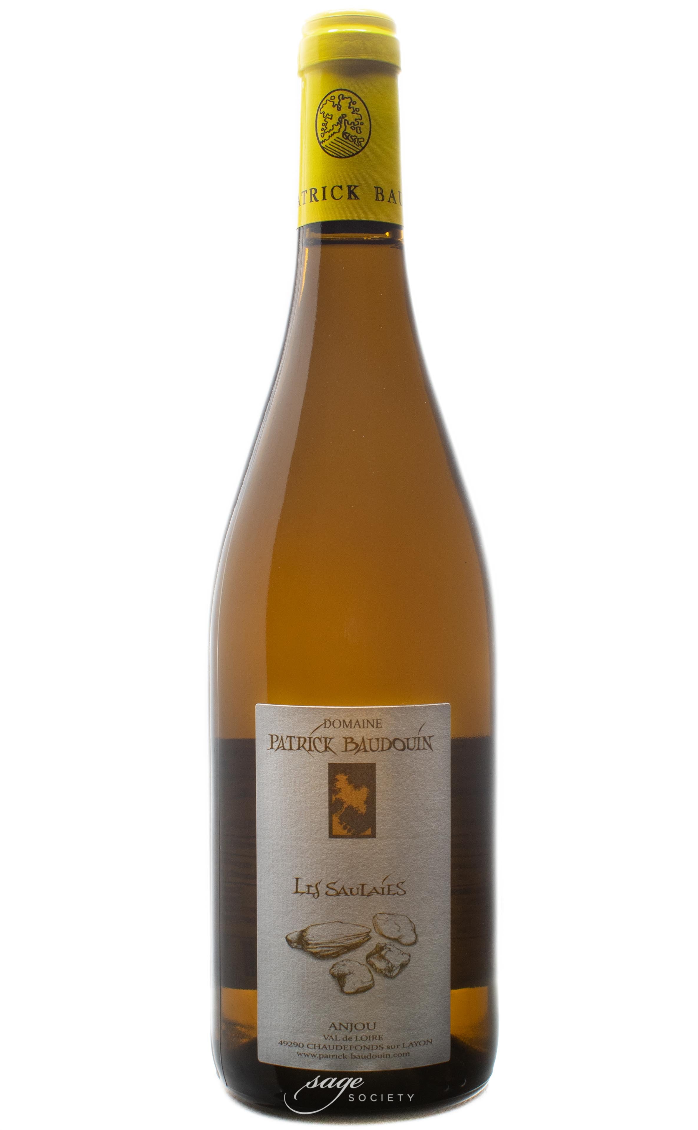 2010 Domaine Patrick Baudouin Anjou Les Saulaies