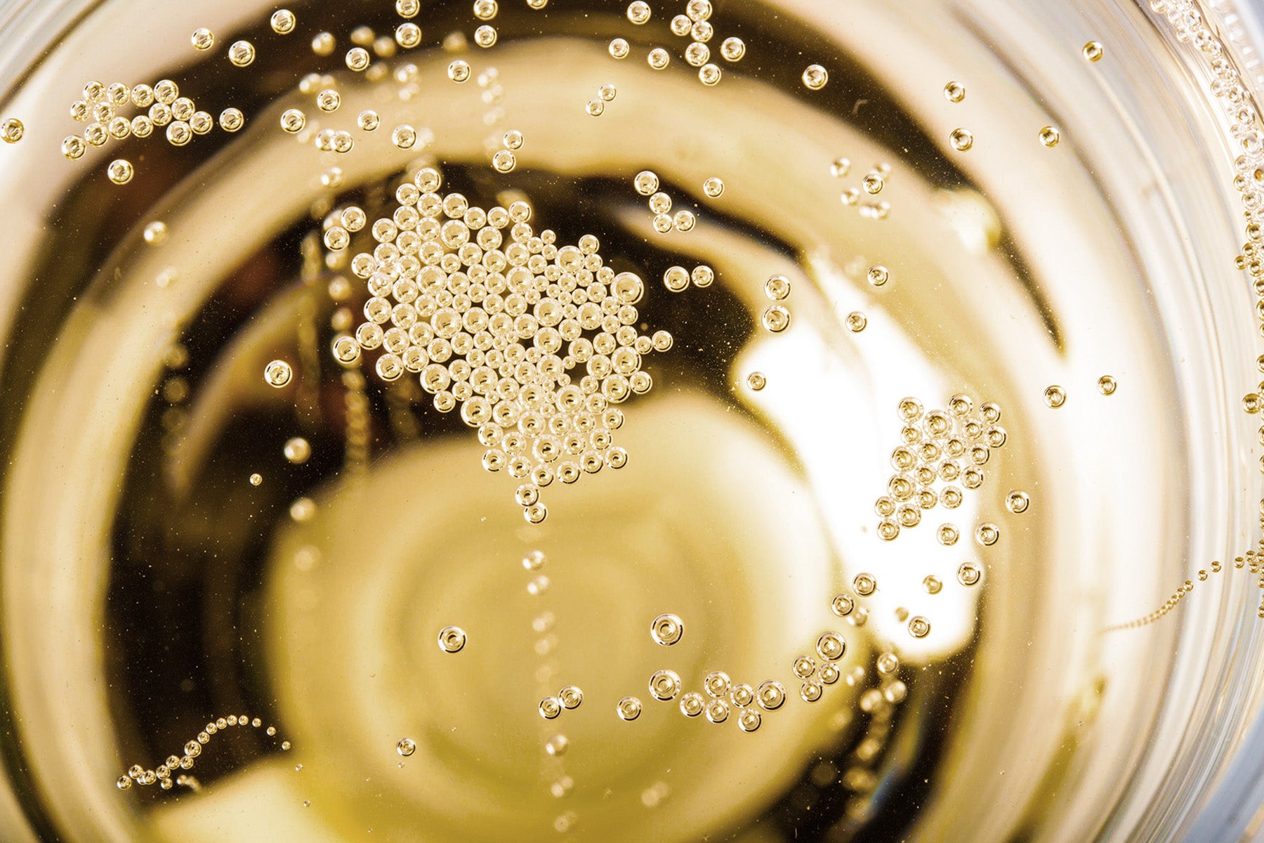 2015 Champagne