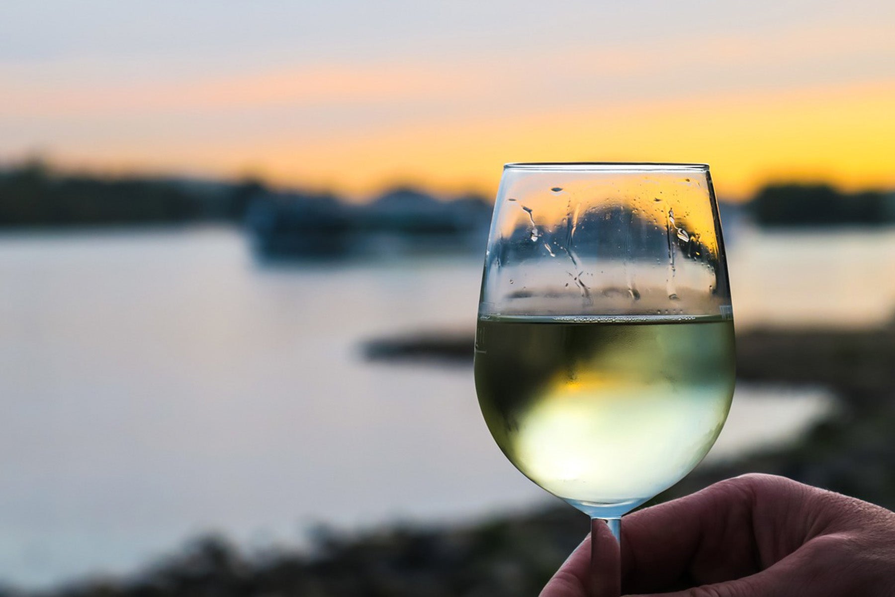 2021 White Burgundy