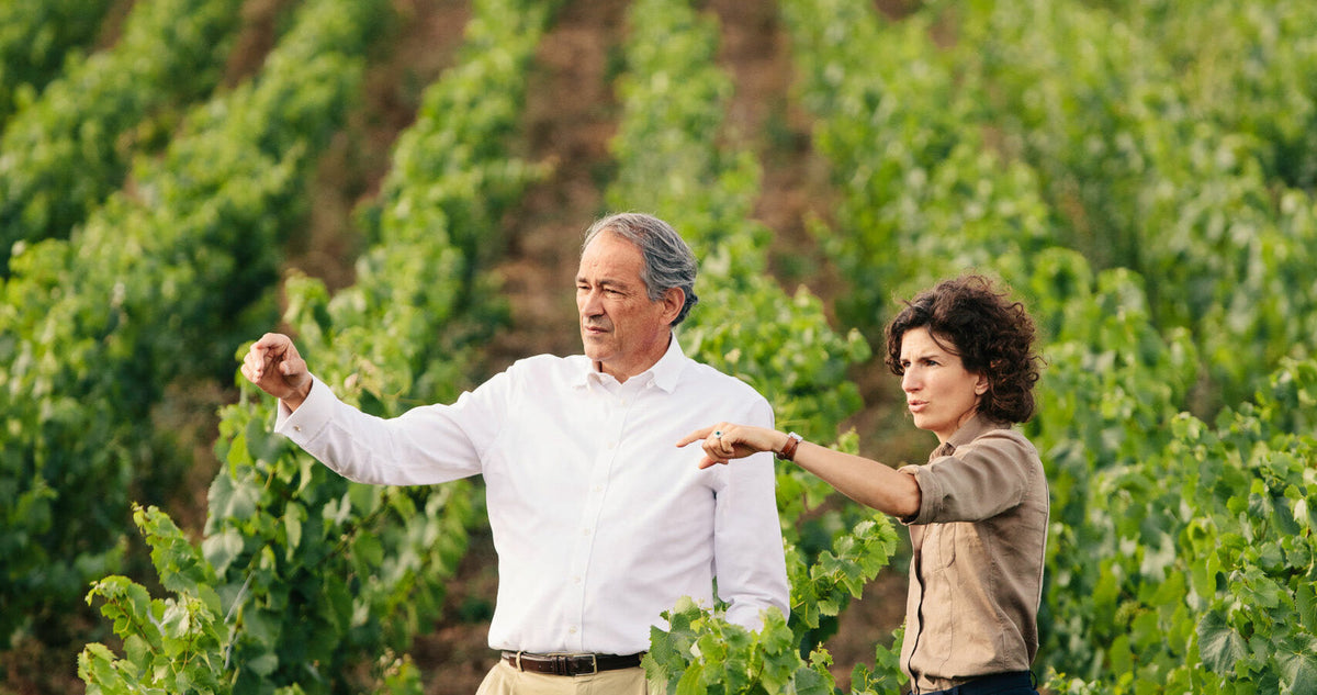 Bruno Paillard
