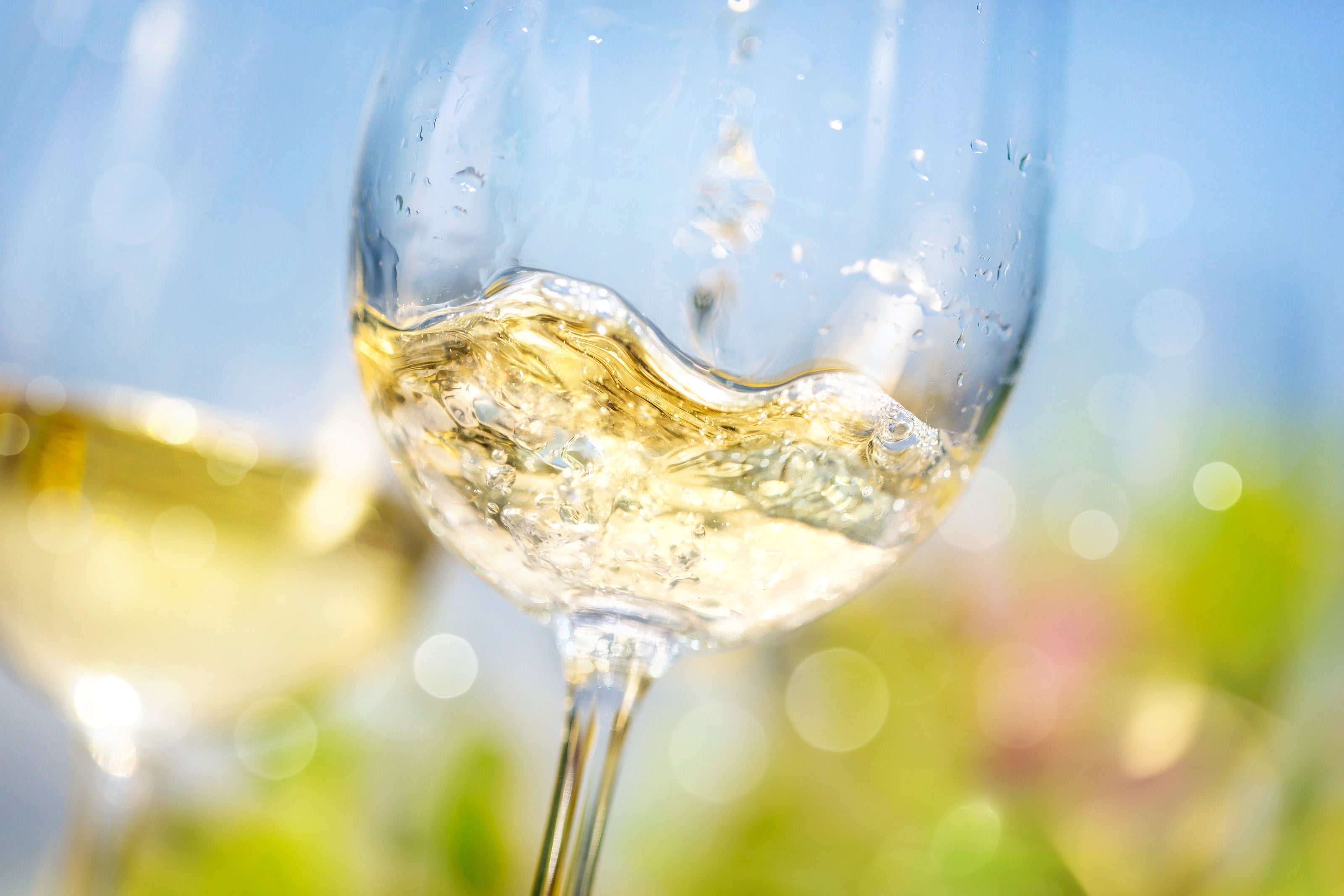 2024 White Burgundy