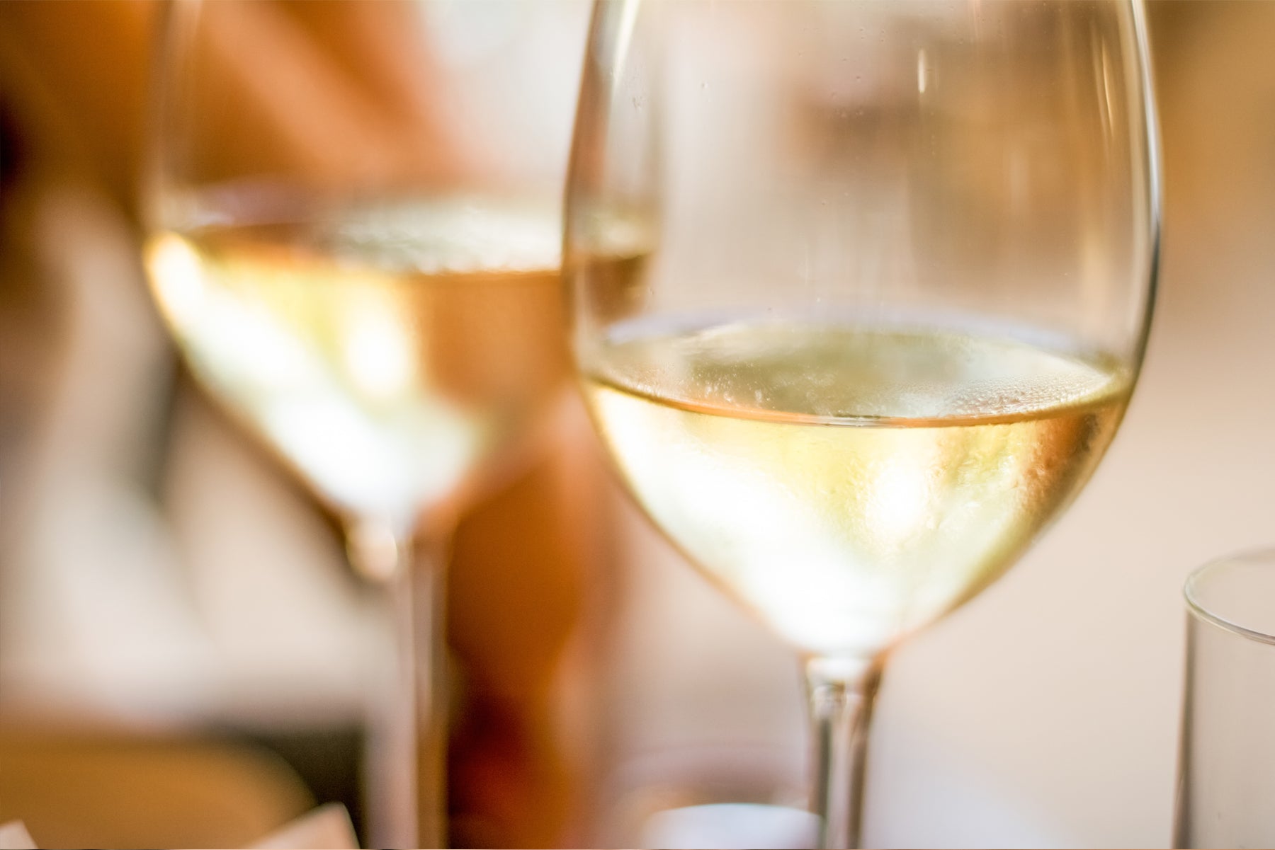 2019 White Burgundy