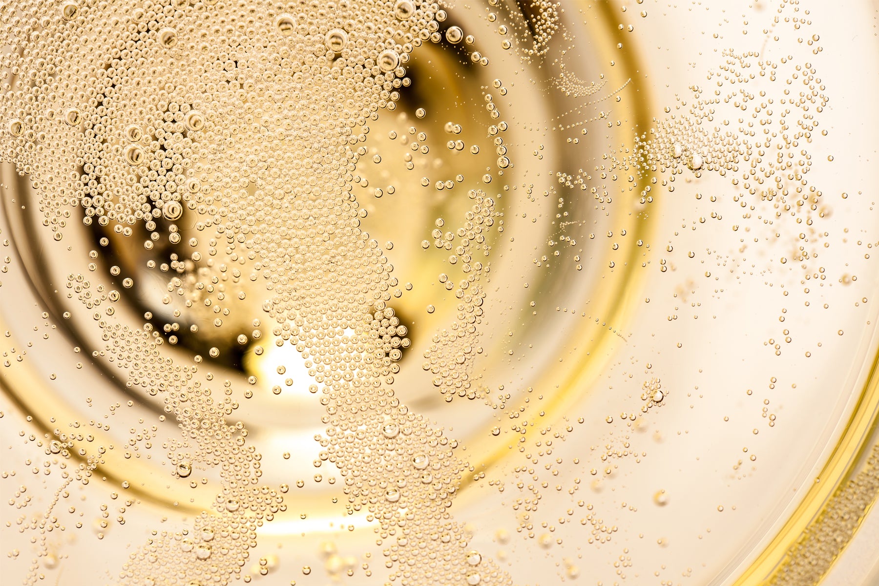 Blanc de Blancs Champagnes