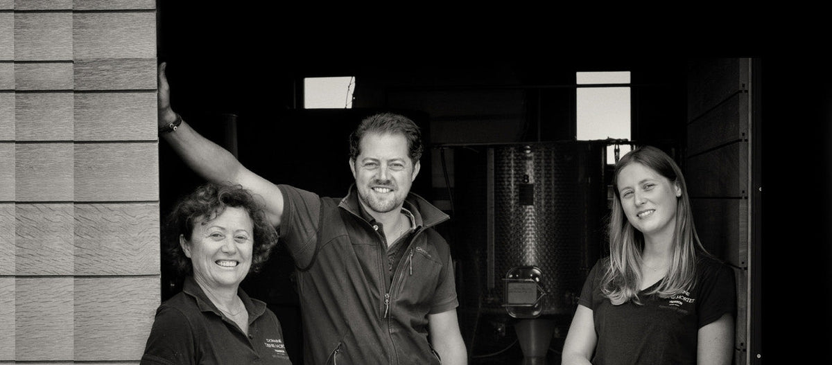 Domaine Denis Mortet