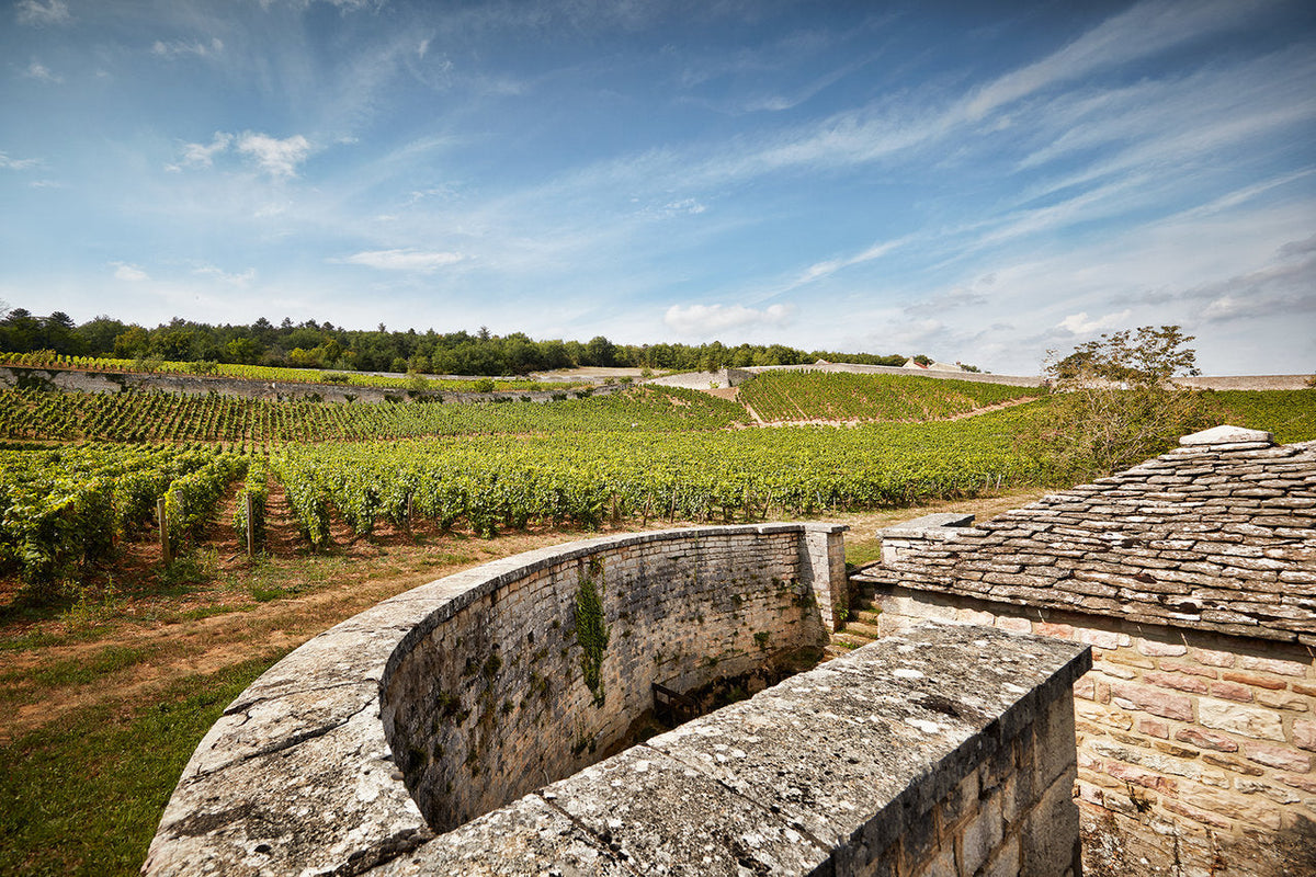 Domaine de L'Arlot