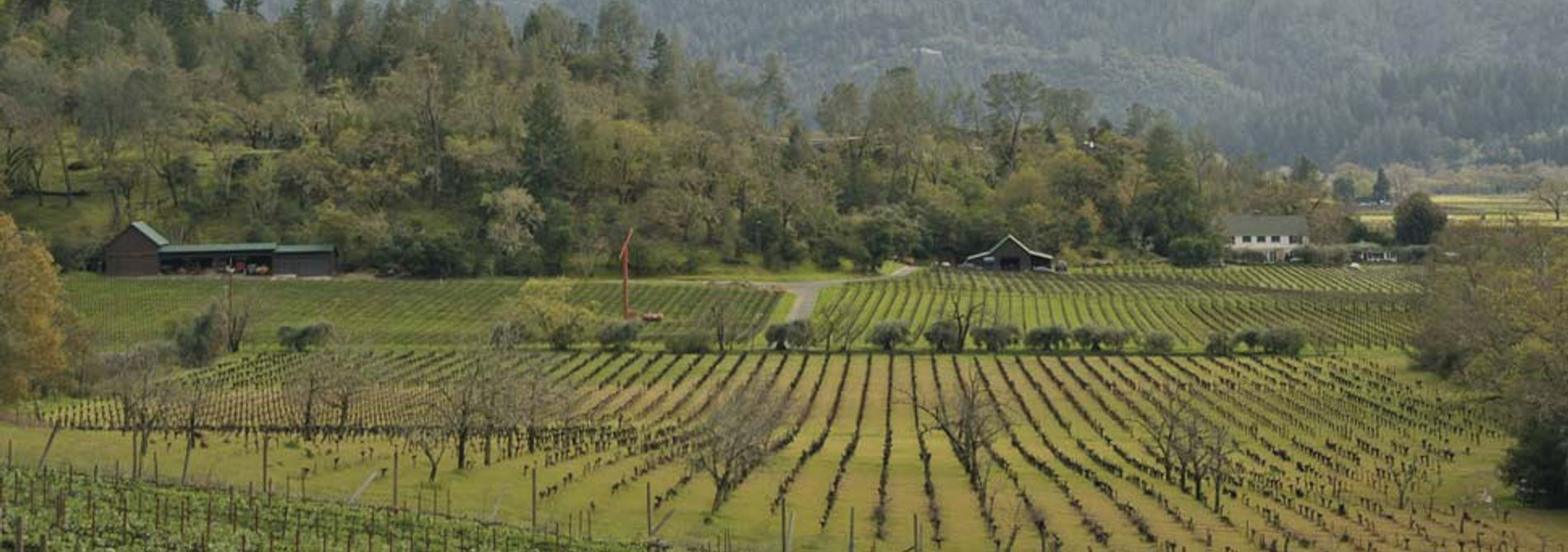 Eisele Vineyard