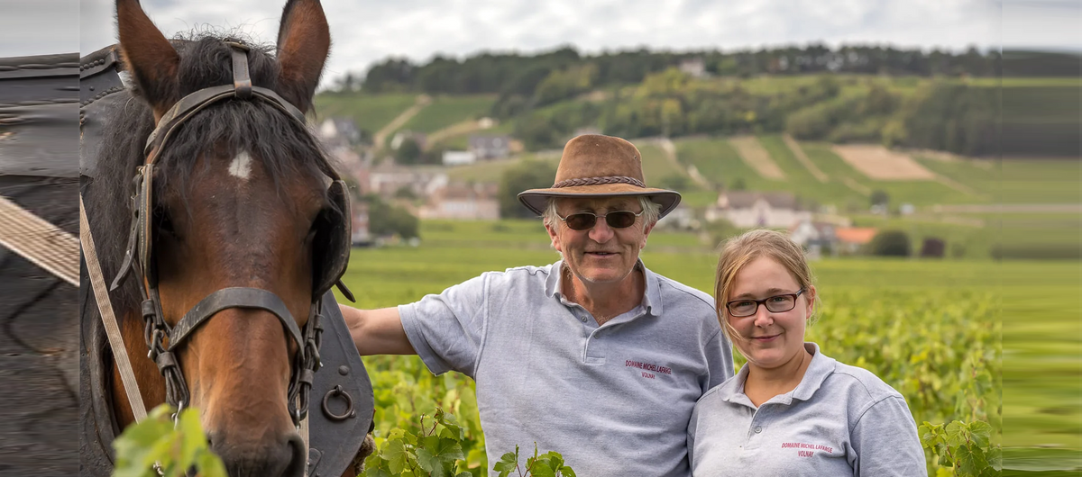 Domaine Michel Lafarge