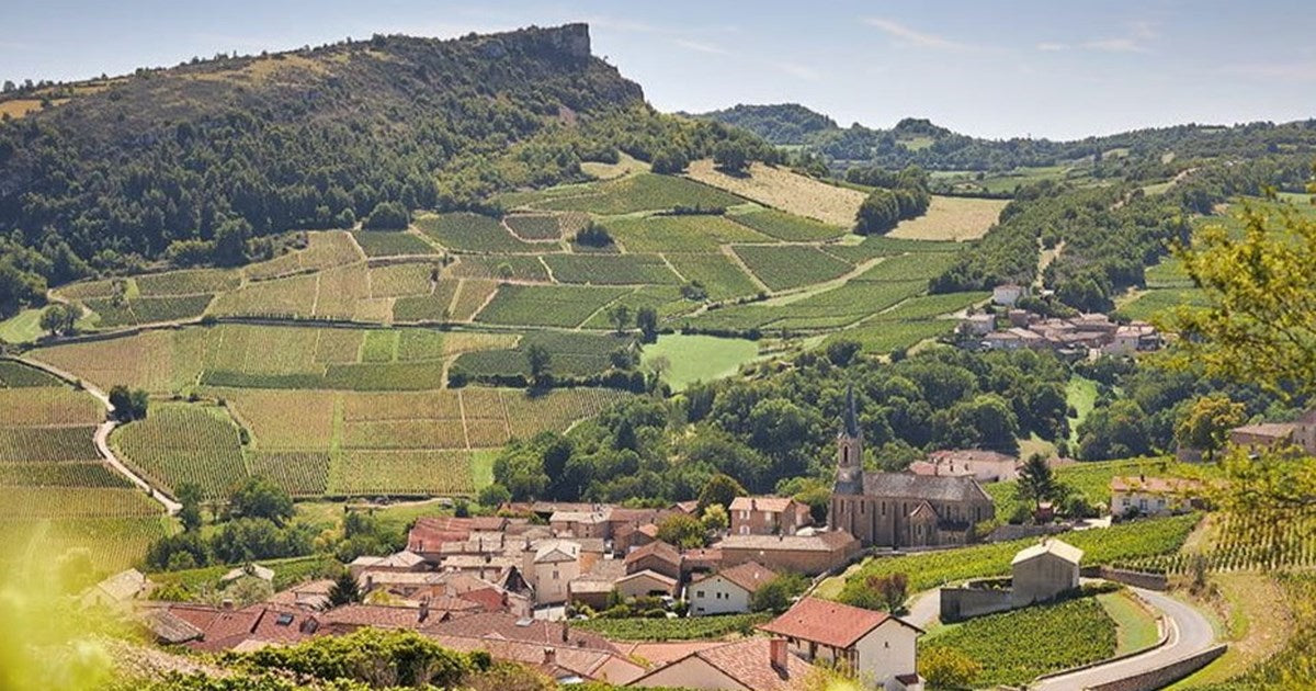 2022 Domaine J.A. Ferret