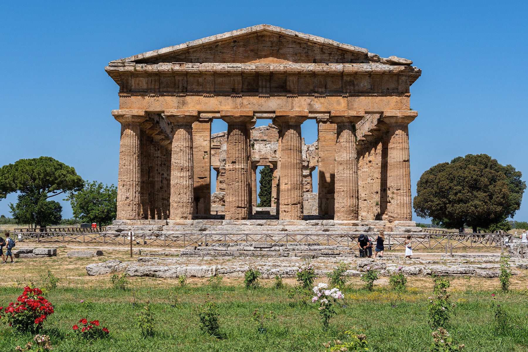 Paestum IGT