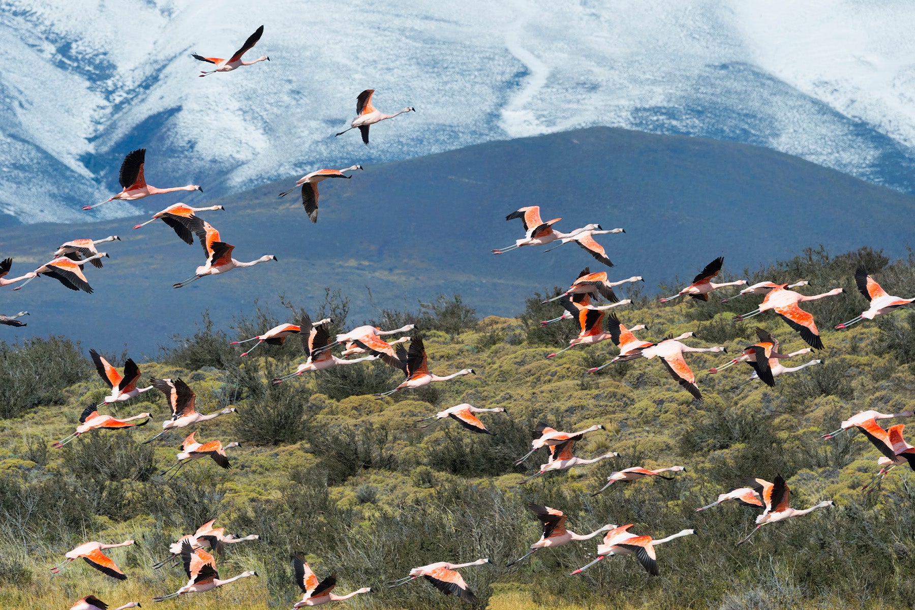 Patagonia