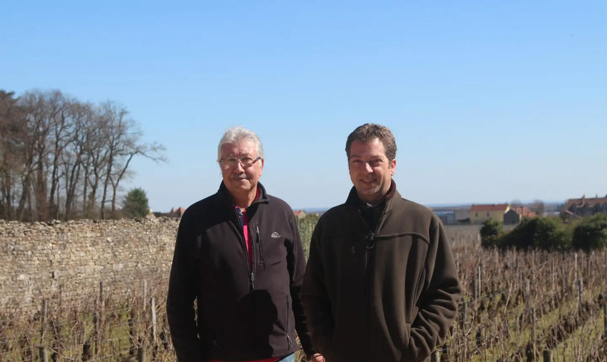 Domaine Harmand-Geoffroy