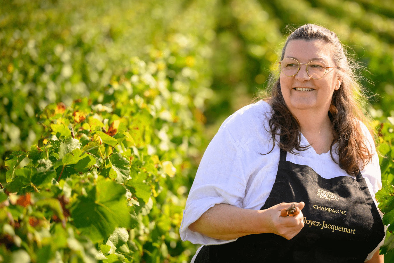 Ployez-Jacquemart Champagne