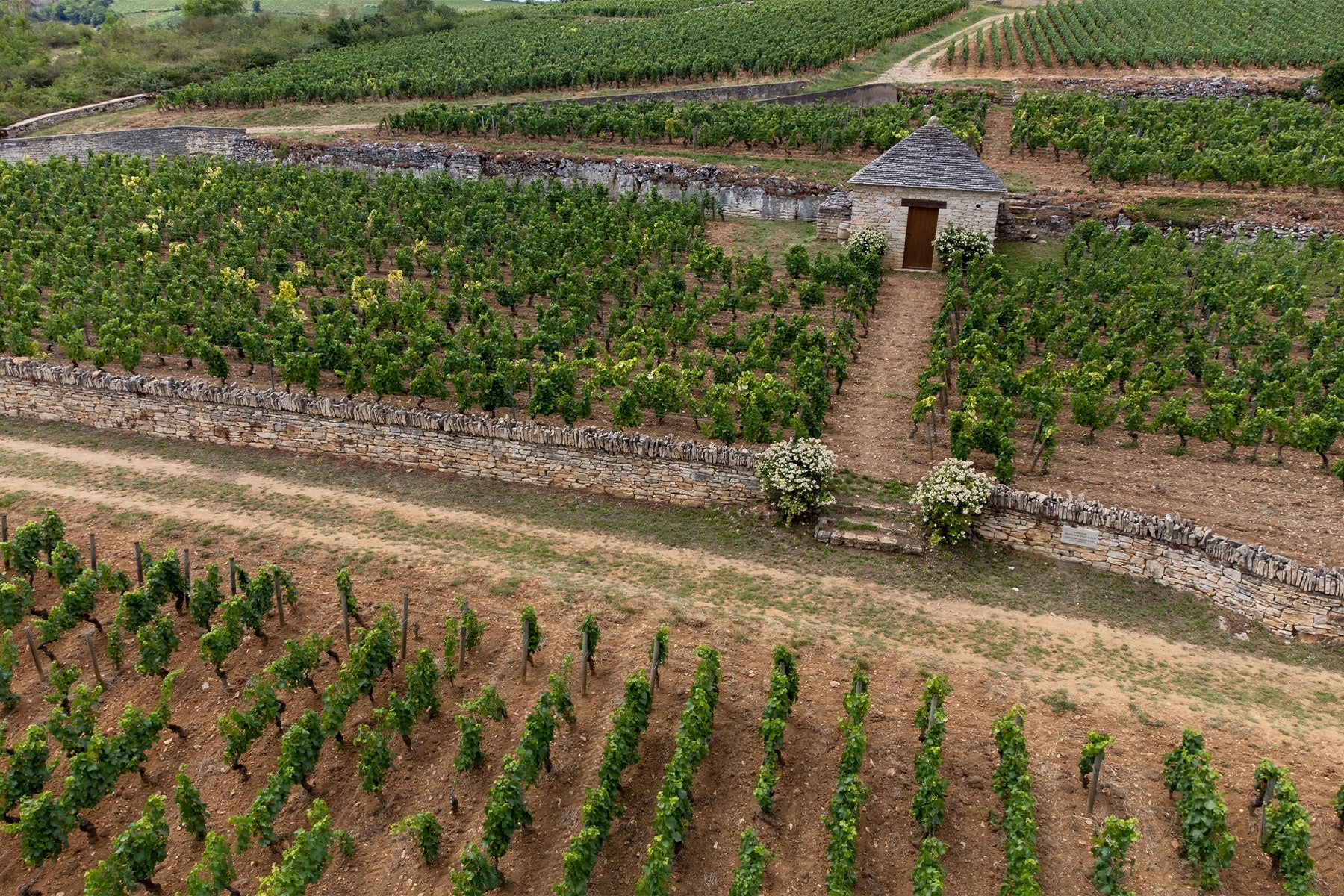 Puligny-Montrachet