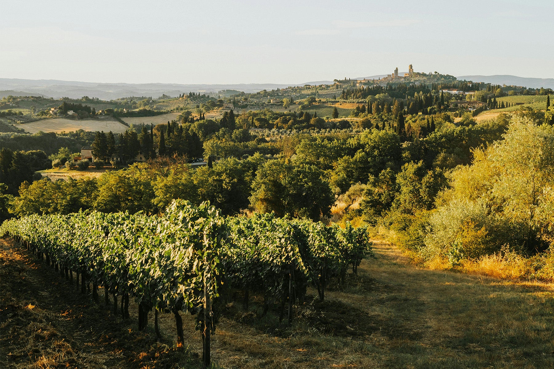 Single Vineyard Barolo