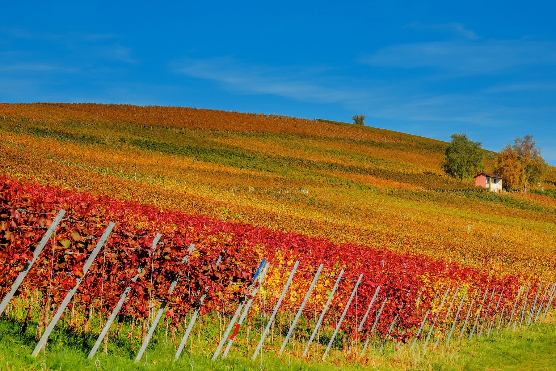 Southern Rhône