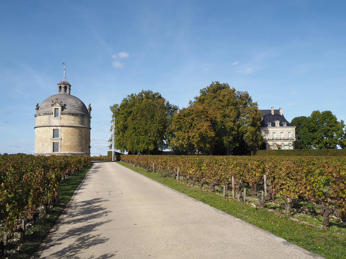 Château Latour Pauillac de Latour
