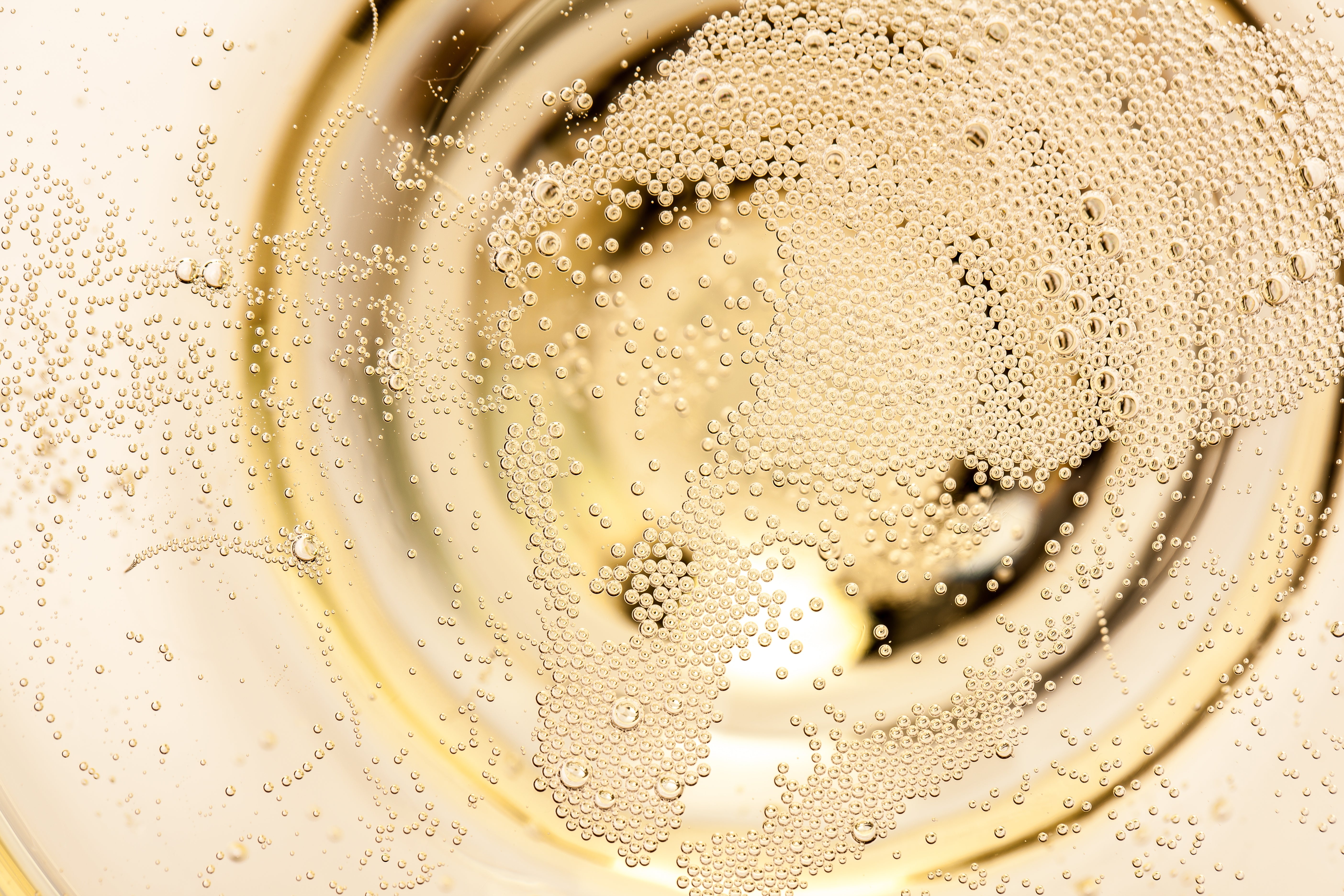 2019 Champagne