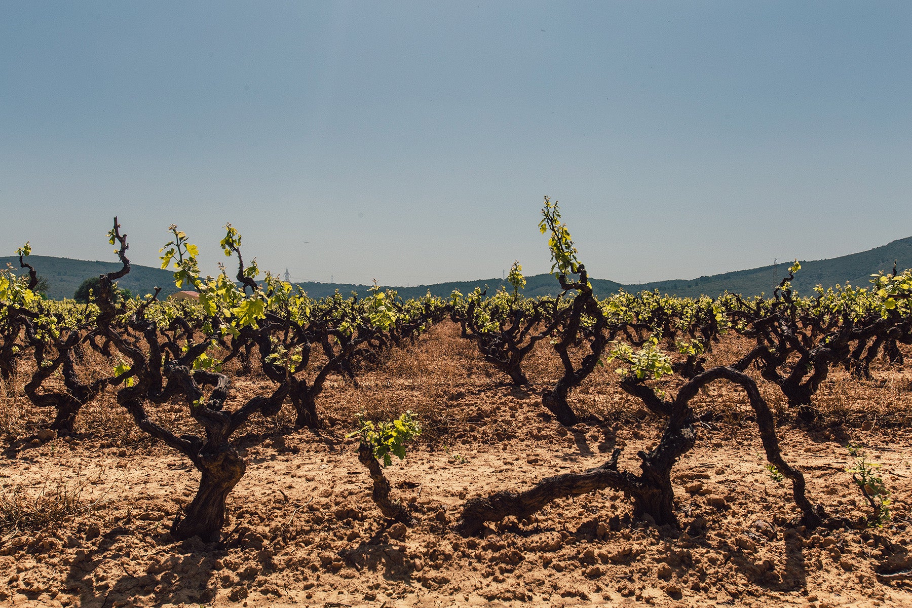 La Rioja