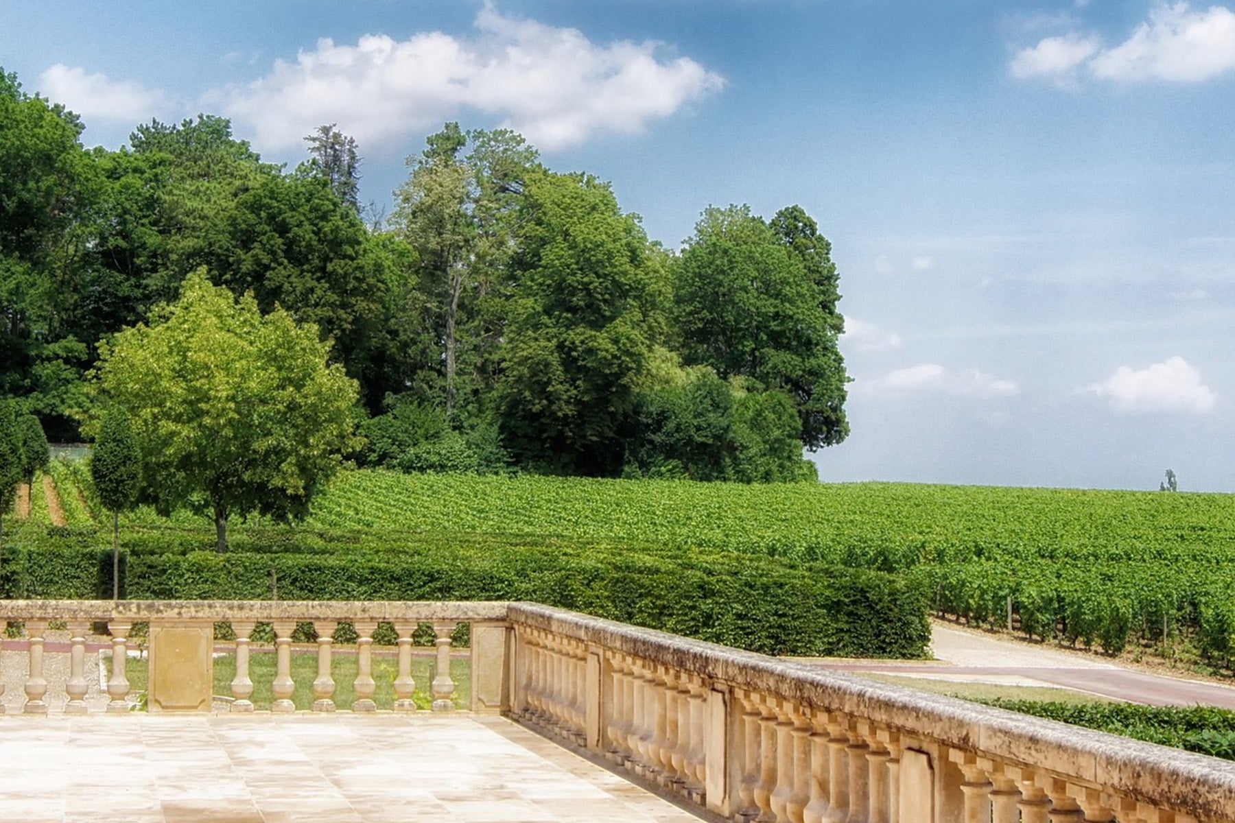 Romanée St. Vivant Grand Cru