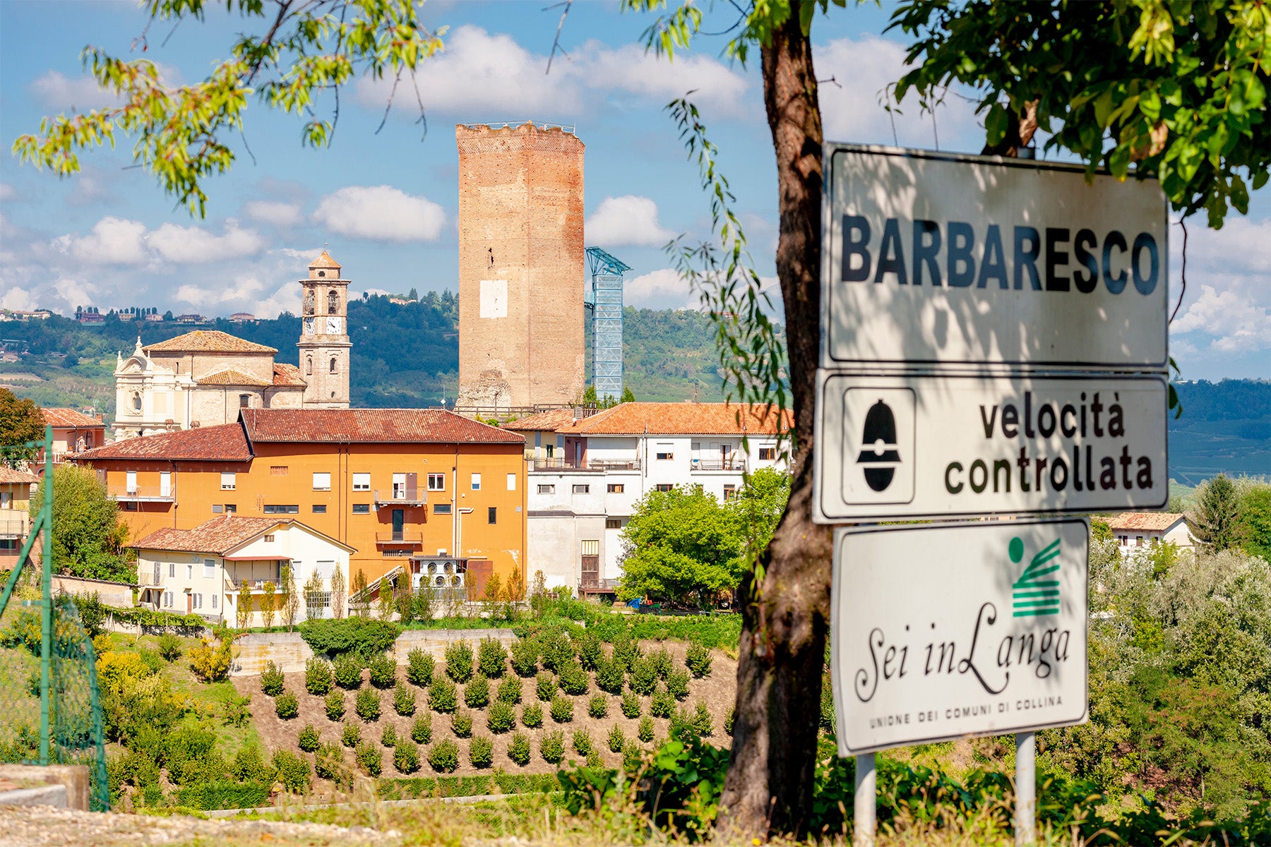 Barbaresco