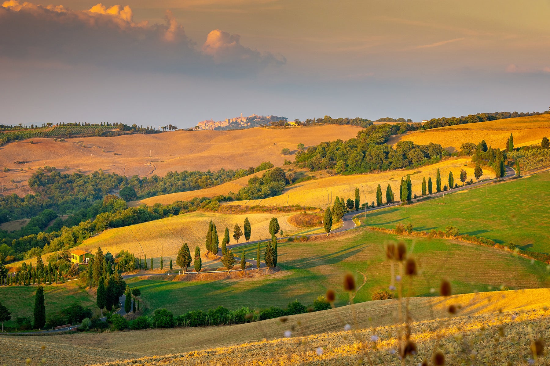 Montepulciano