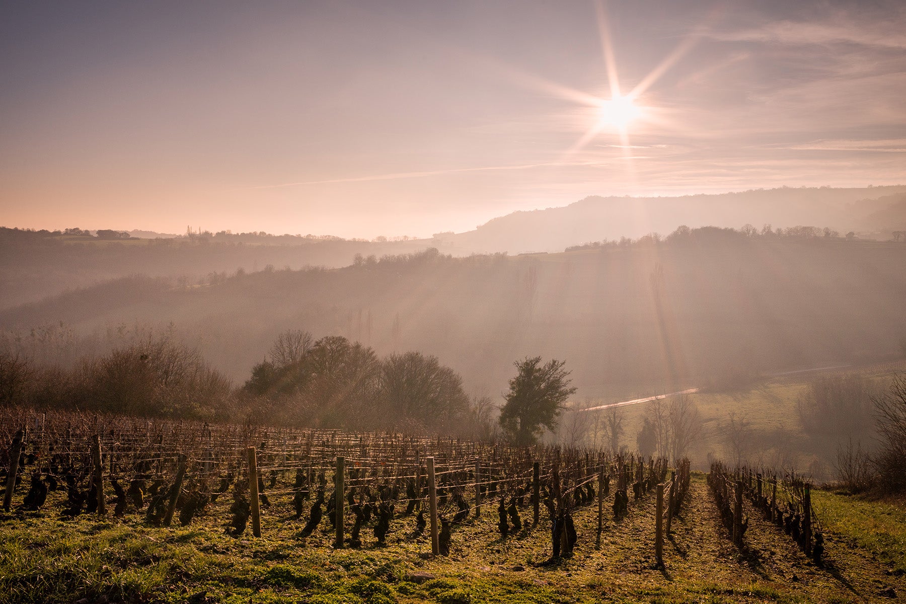 Bourgogne Hautes-Côtes de Beaune