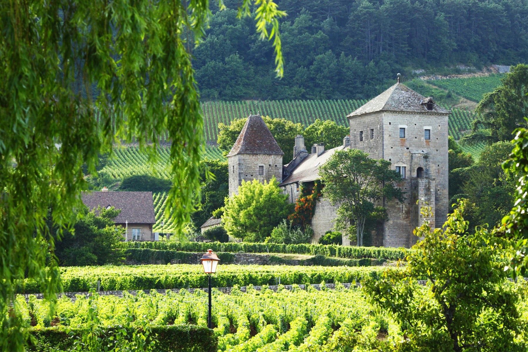 Gevrey-Chambertin