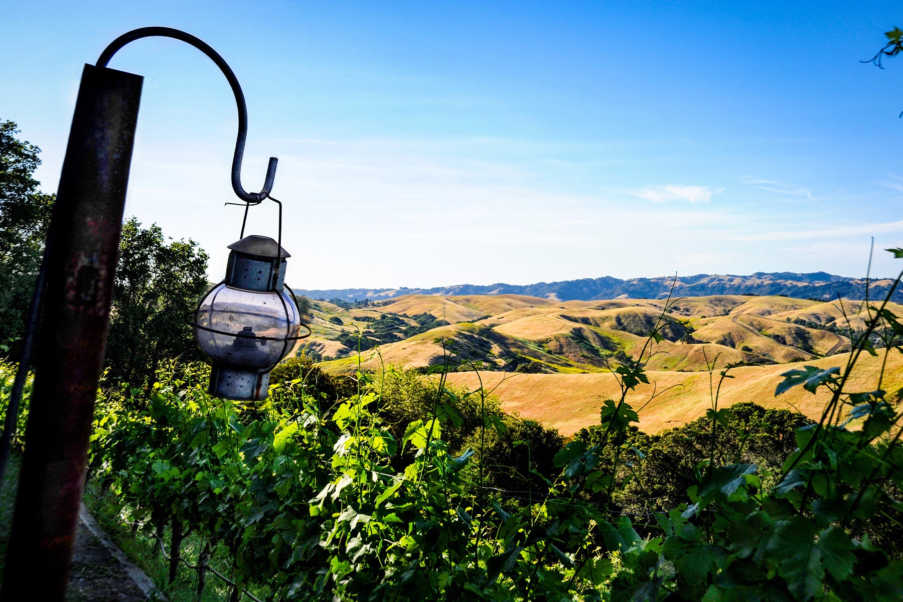 Mt. Veeder