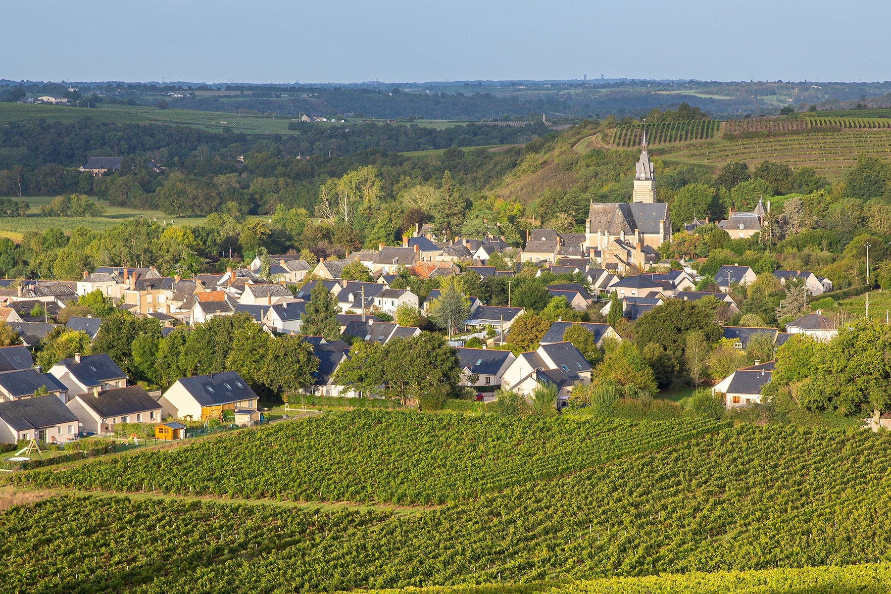 Saint-Aubin 1er Cru