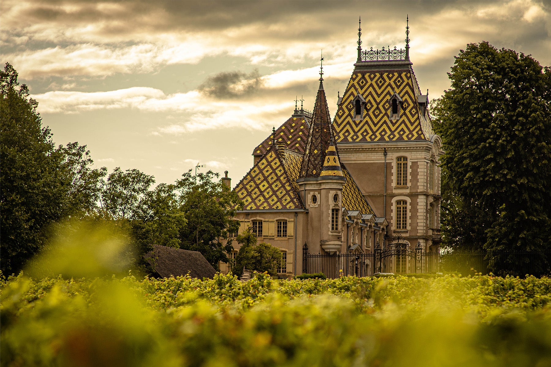 Corton-Charlemagne Grand Cru