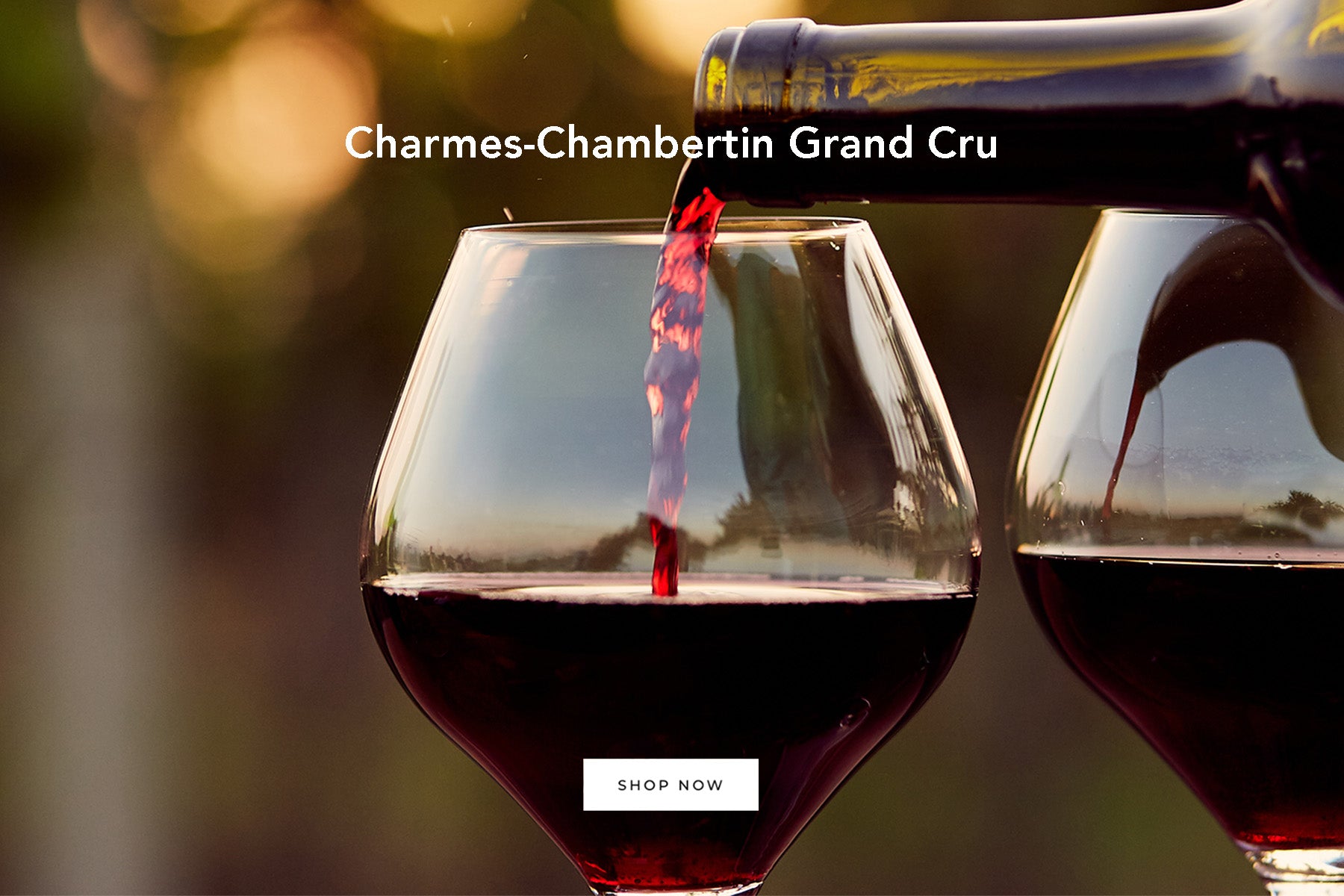 Charmes-Chambertin Grand Cru