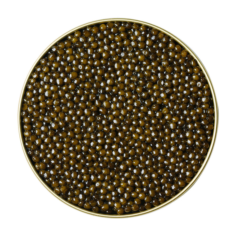 Sage Society Kaluga Hybrid Caviar